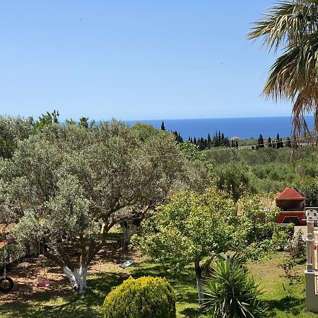 Lemon Tree Apartments A D Argostoli  Exteriör bild