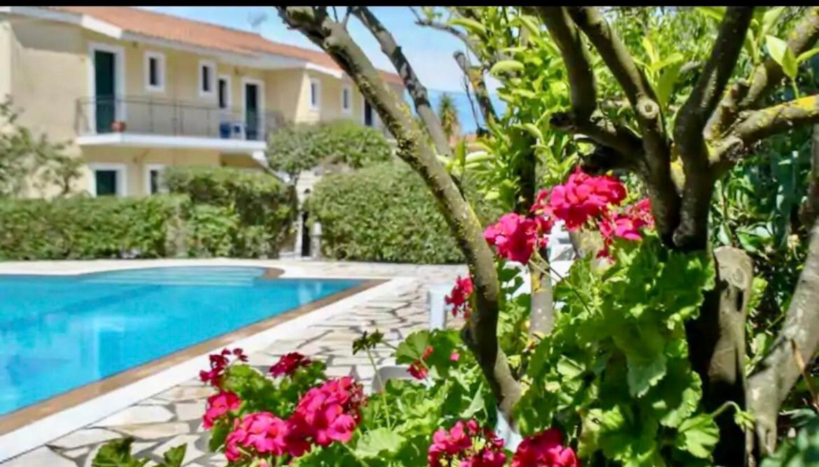 Lemon Tree Apartments A D Argostoli  Exteriör bild